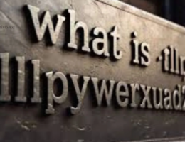 what is llpuywerxuzad249