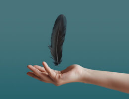 feather insurance